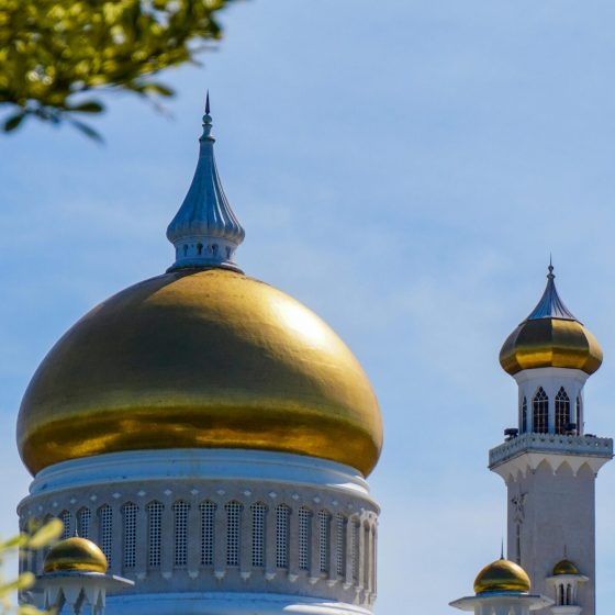Beautiful view of mosque with golden domes framed by foliage, under a bright blue sky.